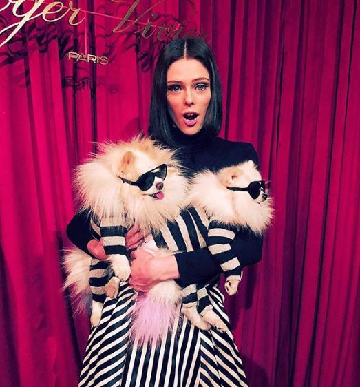 <古怪俏皮Pose女王，超模Coco Rocha 可可 ‧ 羅恰>