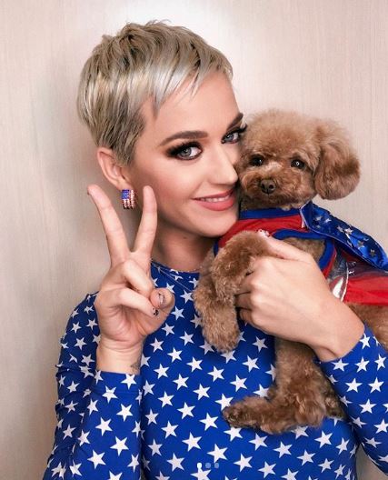 <美國流行樂天后Katy Perry 凱蒂 ‧ 佩芮>