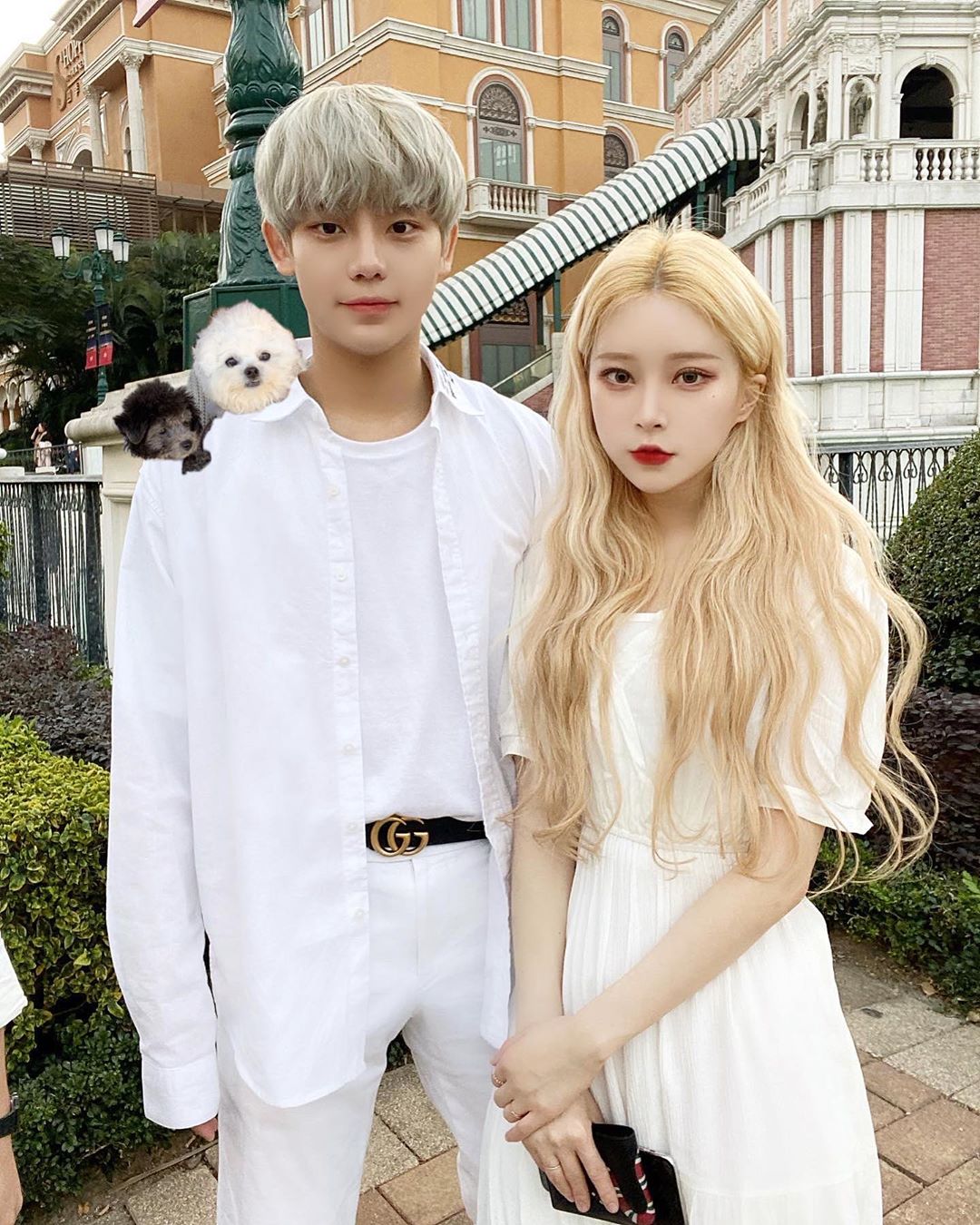 潮流派韓妞髮型木馬卷 &times; 檸檬白金色