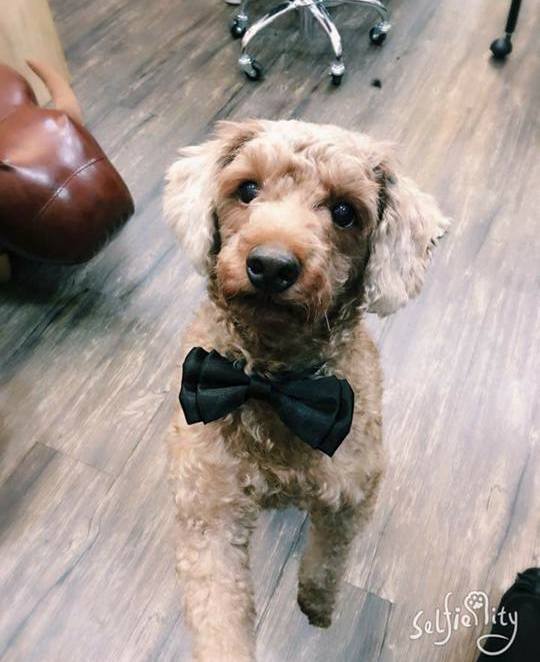 台中市美髮沙龍推薦 MoreFar Hair Space