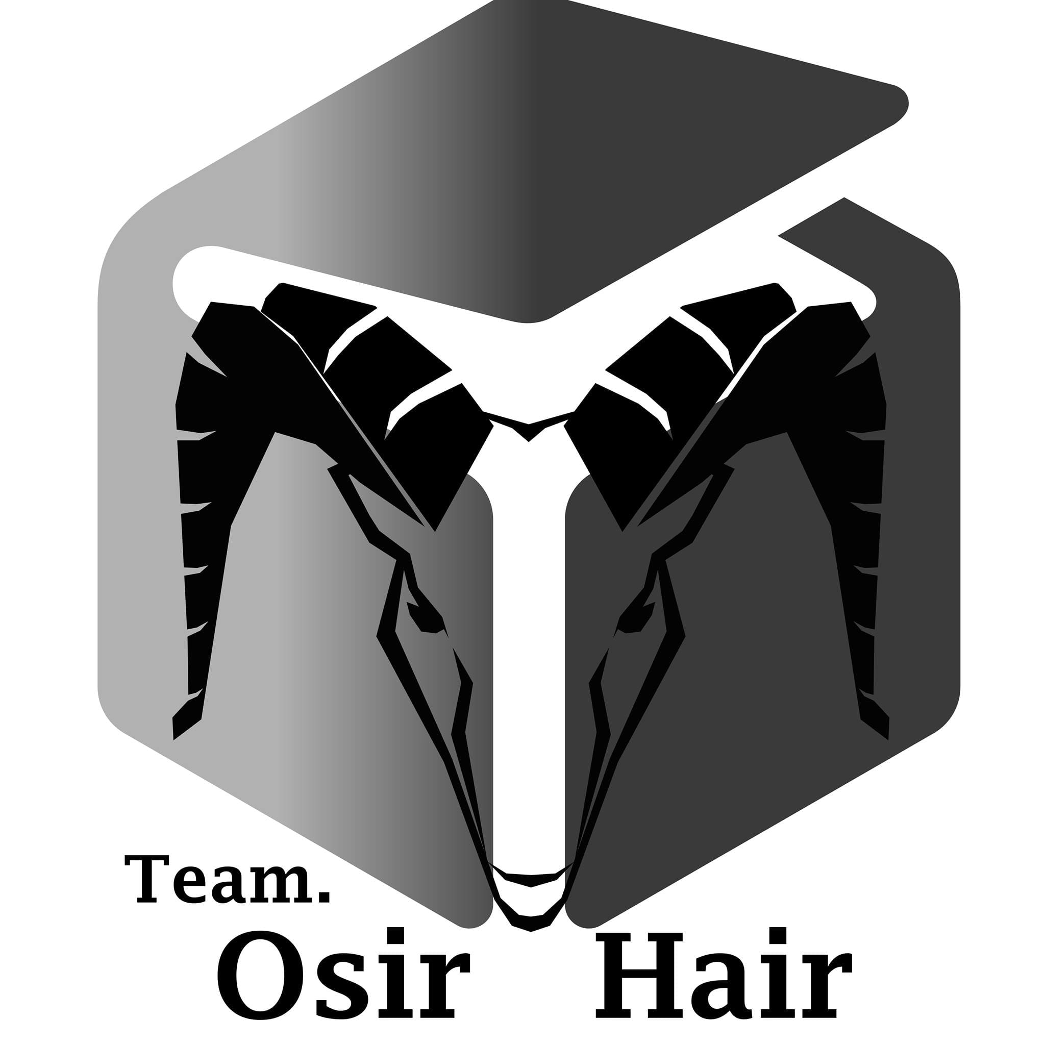 台中沙龍推薦 Team.Osir Hair