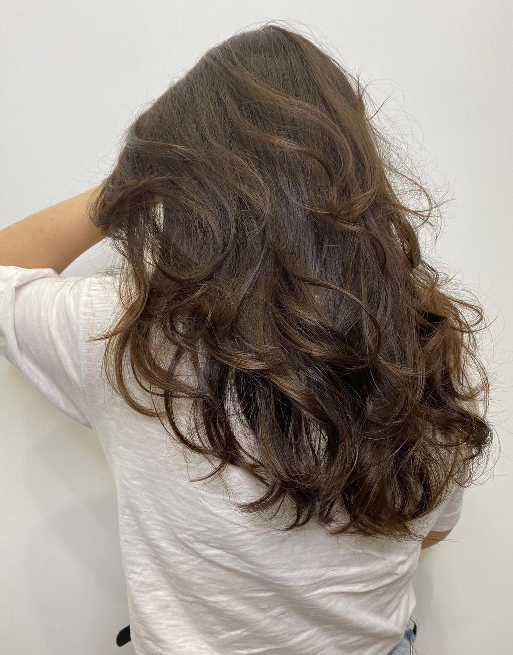 冷萃咖啡髮色、鬆軟雲朵燙